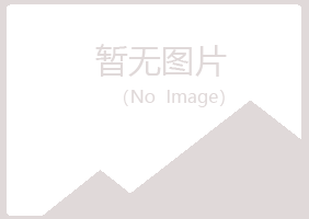 鹤岗兴安山柏建设有限公司